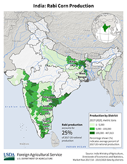 images\IN\seasonalmap\IND_Rabi_Corn_preview.png